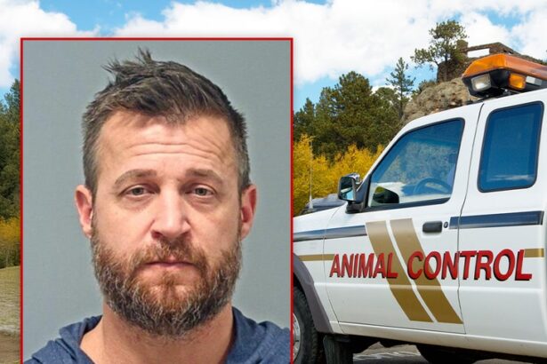 ex reality star arrested for child animal sex crimes had animals seized 6950704391531