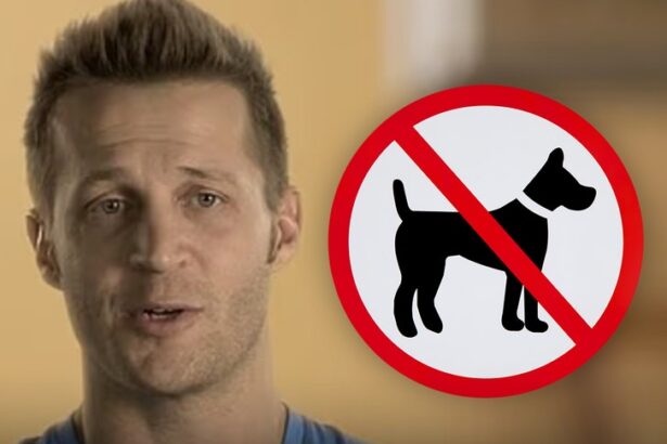 ex reality star court ordered to not have sex with his 2 dogs 6952e0d38360e