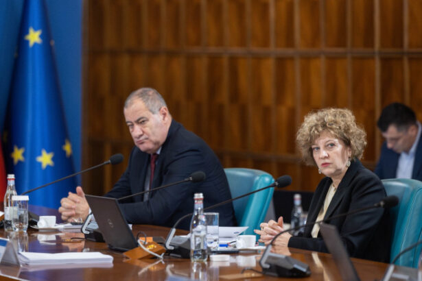 guvernul a stabilit primele 17 companii care intra in procesul de reforma care sunt acestea si cum au fost selectate 69330cf853b2c