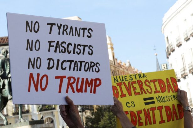 half of europeans see trump as enemy of europe survey finds 6931240cf027a