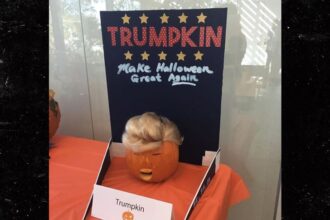 halloween photo of president trumpkin released by house oversight committee 693d909d8bd21