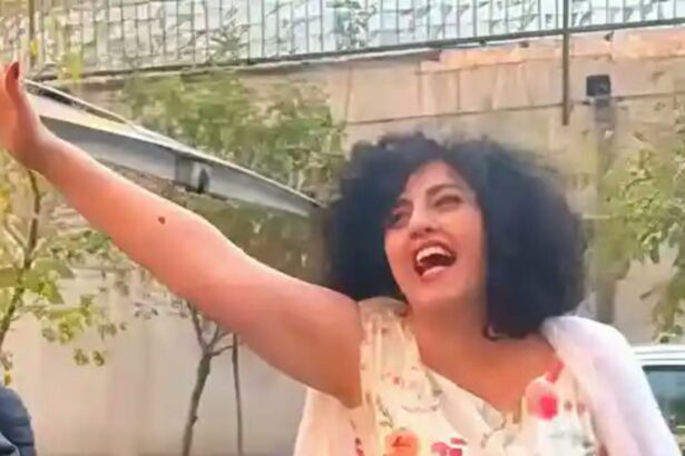 o laureata a premiului nobel pentru pace a fost arestata 693d2b3f92c39