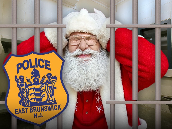 Operațiunea Bad Santa: 12 bărbați arestați pentru pedofilie 1 operation bad santa busts 12 men in child sex sting 694eb0930efc8