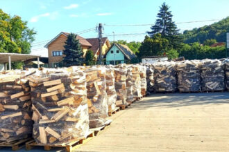 pretul de referinta al lemnului ar putea creste de la 1 ianuarie 2026 masura nu are impact direct asupra pretului platit de populatie 6942a2053c14b