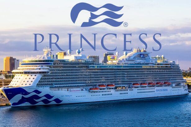 princess cruise lines sued by woman who says chair collapsed while she was sitting in it 693b6fb7e661a