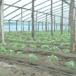 psd va cere in coalitie eliminarea impozitului pe solarii nemultumeste romanii nu aduce bani la buget 69398d130e04a