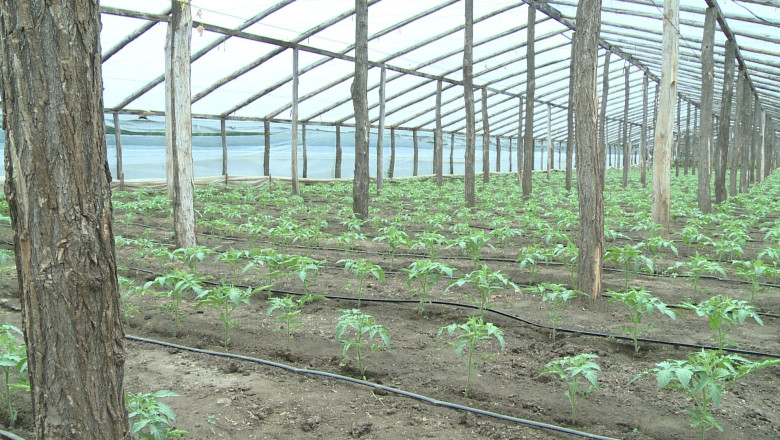 PSD cere eliminarea impozitului pe solarii 1 psd va cere in coalitie eliminarea impozitului pe solarii nemultumeste romanii nu aduce bani la buget 69398d130e04a