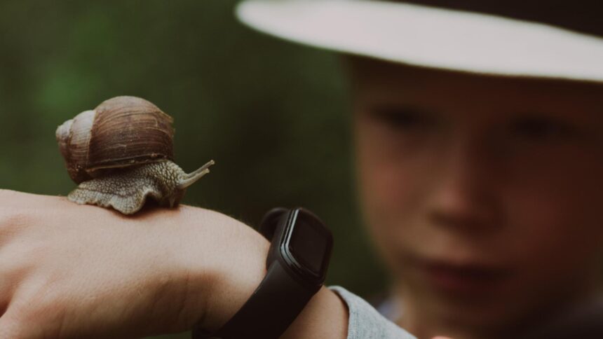 Moartea tragică a unui copil de 13 ani din cauza provocărilor online 1 sfarsit terifiant pentru un copil de doar 13 ani a murit din cauza unei provocari din mediul online 6941465d2568d