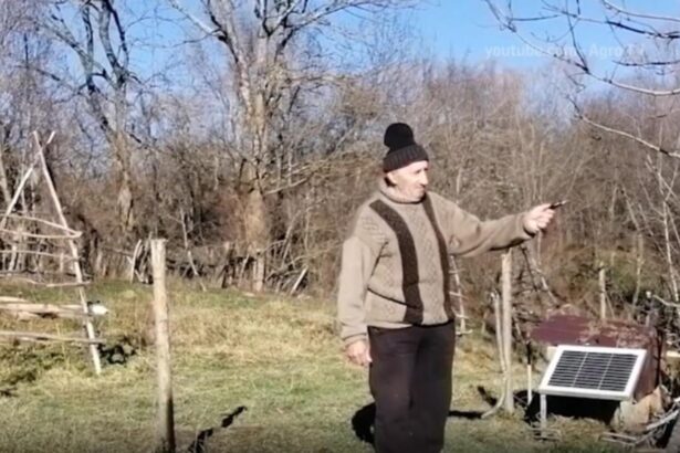 situatia trista din romania satele din munti raman fara animale 69451cafb8cd2