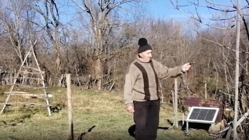 Satele montane din România rămân fără animale 1 situatia trista din romania satele din munti raman fara animale 69451cafb8cd2