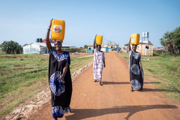 the town on the banks of the nile that turned floods into fortune 693abec44939f