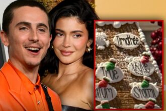 timothee chalamet kylie jenner go gingerbread official for christmas 694dc401109de