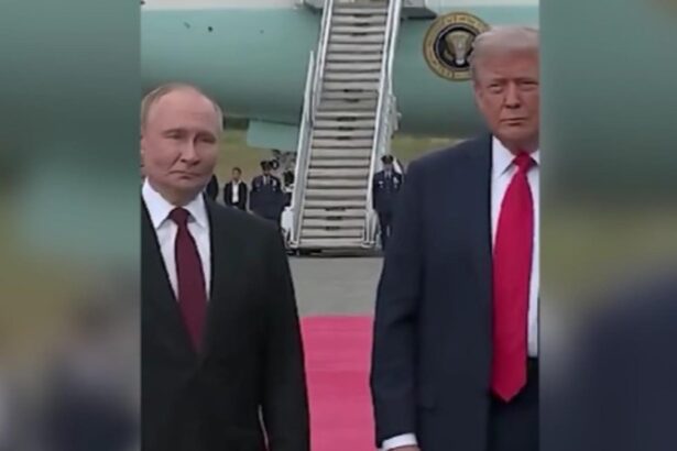 trump vrea sa l sune pe putin inainte de intalnirea cu zelenski 6950ddb8897ac