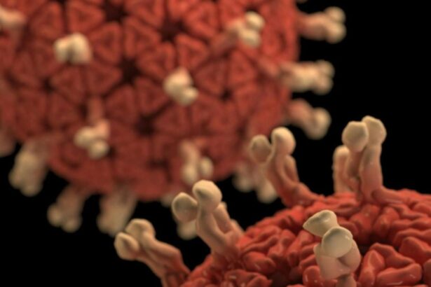 alerta sanitara intr o tara din europa autoritatile se pregatesc pentru cel mai greu sezon de gripa din istorie 695f6d83a6a83