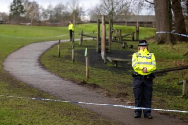 asemanare sinistra intre o crima din timis si o tragedie din anglia un alt copil de 15 ani a fost ucis de doi tineri si abandonat intr o padure 6970b7bf8c43f