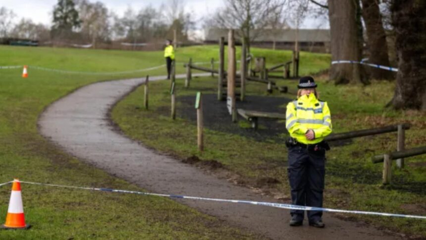 asemanare sinistra intre o crima din timis si o tragedie din anglia un alt copil de 15 ani a fost ucis de doi tineri si abandonat intr o padure 6970b7bf8c43f