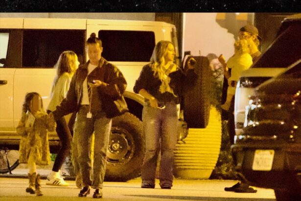 ashley tisdale and haylie duff hang out amid toxic mom group drama 697bfdb62c982