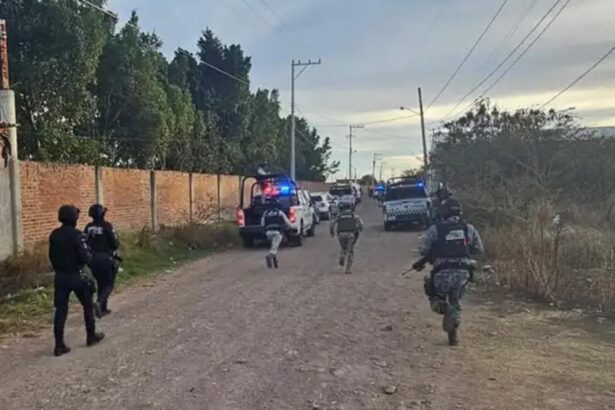 atac armat pe un teren de fotbal din mexic cel putin 11 morti si 12 raniti in guanajuato 69771aa773cdd