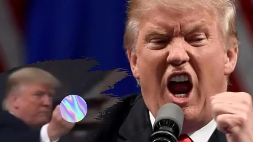 donald trump i a aratat degetul mijlociu unui barbat care l a numit protector al pedofililor video 6967610d25549