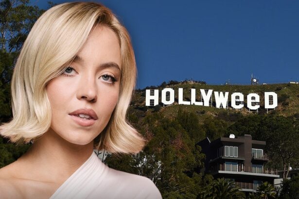 no free pass for sydney sweeney hollywood sign stunt hollyweed artist says 69795bbba600b