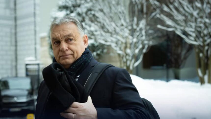 orban scos din sarite de ironiile lui zelenski sta cu spatele pe cal iar bruxelles ul ii da 800 de miliarde noi nu platim 69731ed8c1127