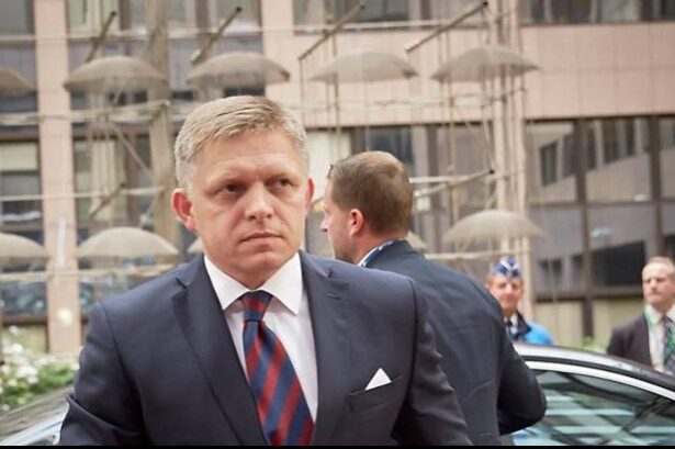 premierul fico crede ca slovacia n ar trebui sa se alature consiliului pentru pace initat de donald trump 6978d6a3cc380