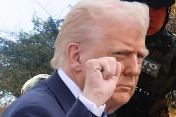 statele unite se pregatesc sa intre in mexic trump anunta operatiuni terestre impotriva cartelurilor 6960ff668e888