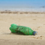 video cercetatorii avertizeaza peste cu microplastic pe masa romanilor marea neagra poluata masiv 69690173ef0e0