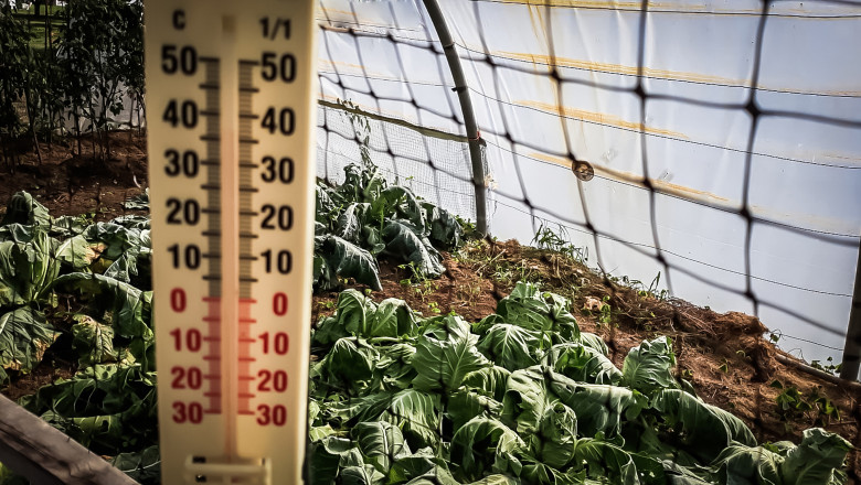 video lovitura primita de agricultori odata cu gerul care s a abatut peste romania costuri duble pentru incalzirea solariilor 69672c4b8d060