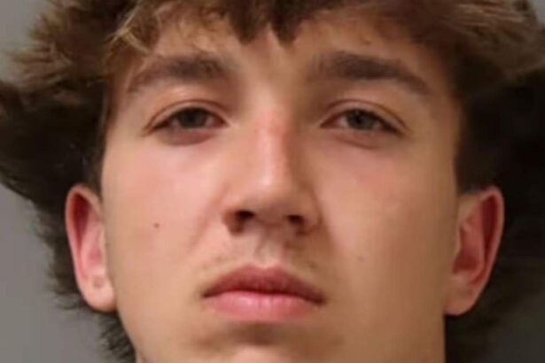 adolescent de 17 ani retinut dupa ce si a incendiat un prieten scenele au ajuns pe internet 6986102540127