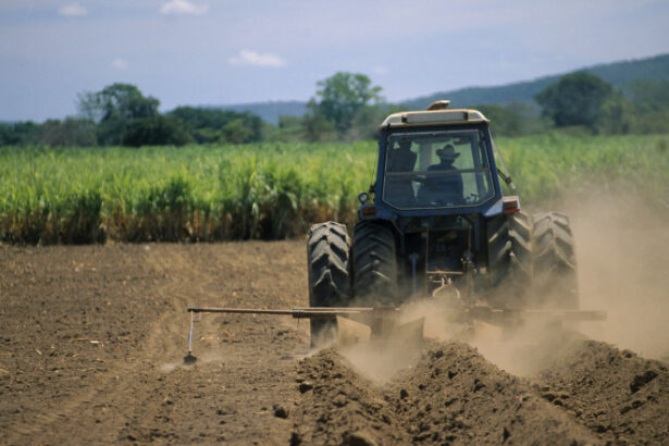 cooperativele agricole romanesti analizeaza modelul german de organizare si marketing 698a0c8b738cb