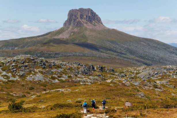 cum poate gresi ai in planificarea unei calatorii cazul turistilor trimisi sa caute izvoare termale inexistente in tasmania 6984aba1c1798