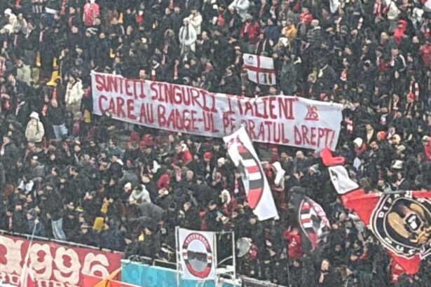 galerie foto razboi cu bannere pe arena nationala mesajele aratate de suporteri la rapid dinamo 699a07651852d