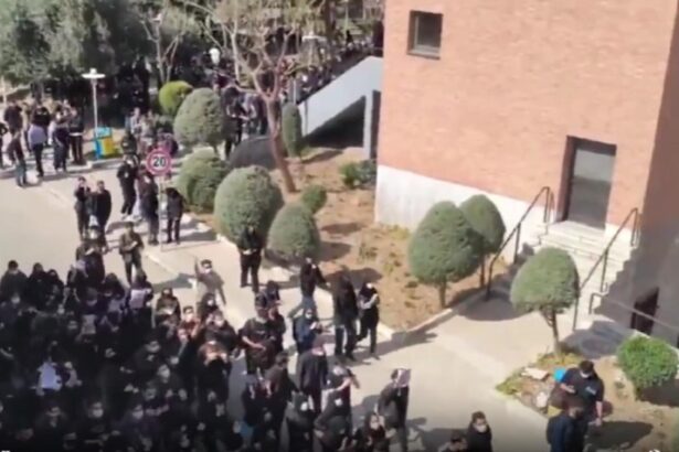 guvernul iranian studentii au dreptul sa protesteze 69a01ac970644
