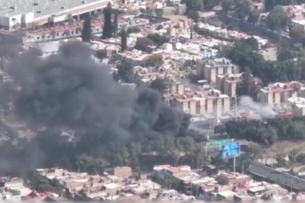 haos si violente in mexic dupa moartea liderului el mencho autoritatile au trimis 10 000 de soldati in zonele cu probleme 699eb42754c12