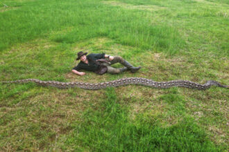 romanul care a descoperit cel mai lung sarpe din lume intrat in cartea recordurilor succesul niciodata nu este al unui singur om 698614feca208