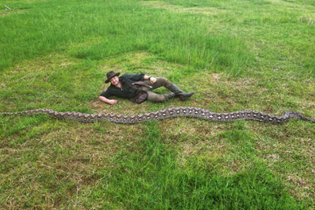 romanul care a descoperit cel mai lung sarpe din lume intrat in cartea recordurilor succesul niciodata nu este al unui singur om 698614feca208