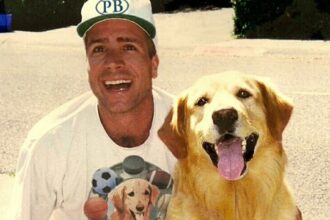 air bud creator kevin dicicco dead at 63 69c2e0a368797