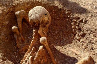 ancient skeleton unearthed in france is latest to be found sitting upright 69babf26a5398