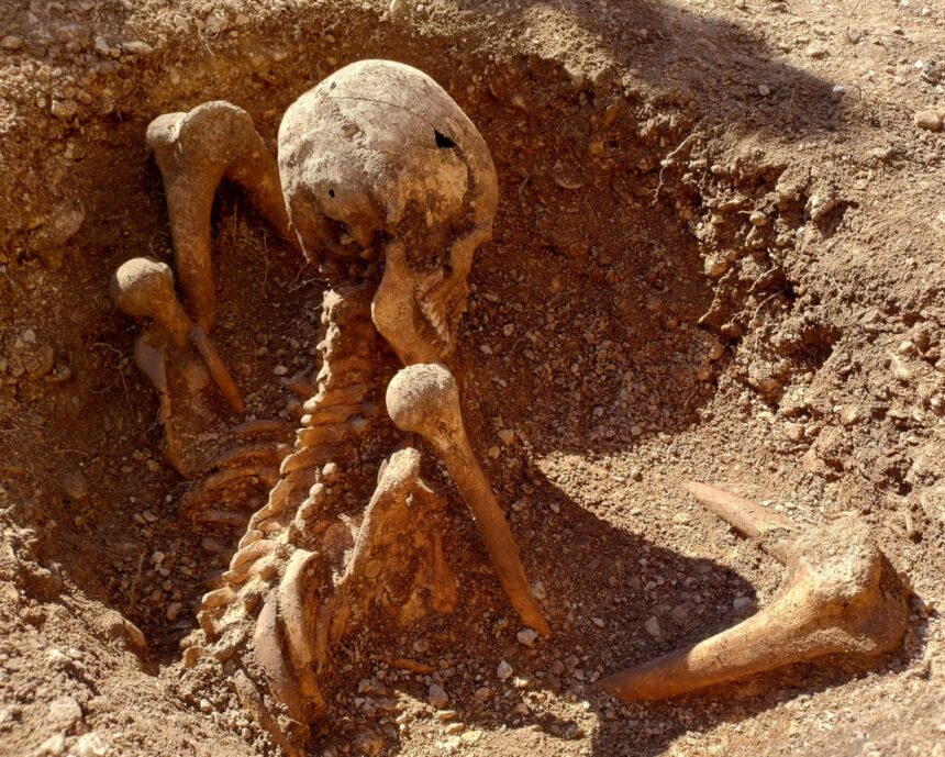 ancient skeleton unearthed in france is latest to be found sitting upright 69babf26a5398