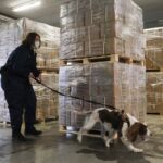 belgium at risk of becoming narco state judge warns 69aeae1916c1b