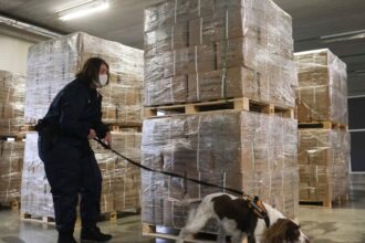 belgium at risk of becoming narco state judge warns 69aeae1916c1b