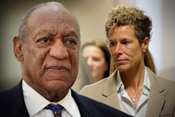 bill cosby accuser andrea constand testifies in court for other accuser 69b406fc89b7d