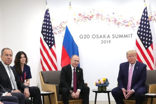 concerns raised over role of ex putin interpreter monitoring hungary vote 69bc2f22862c4