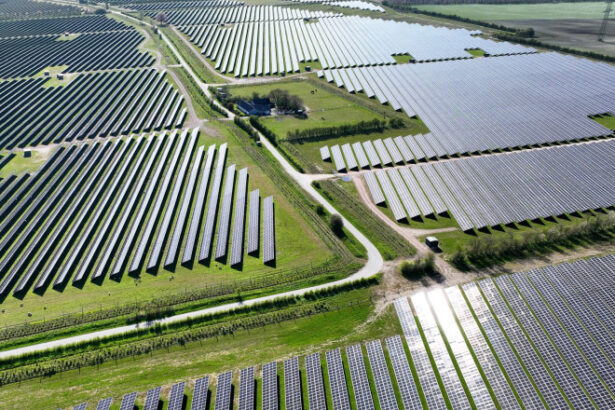 da lanurilor de grau nu campurilor de fier cum li s a luat danezilor de atata energie solara tara este cea mai ecologica din lume 69bec182c63bb