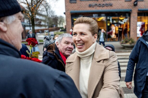 denmark election far right has slowed under frederiksen but at what cost 69c21cc192fbc