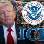 donald trump sending ice agents to airports to assist tsa 69bff0529aca8