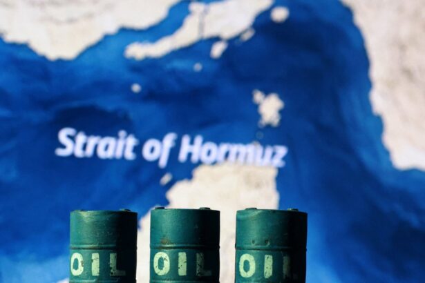 europe could face iran war fuel rationing by april says shell boss 69c3c05794d79