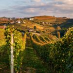 european wine chocolate and cars to become cheaper in australia amid landmark trade deal with eu 69c20eb175fe9