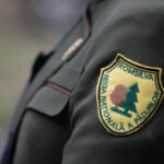 guvernul a aprobat reorganizarea romsilva numarul directiilor silvice redus semnificativ criterii de performanta pentru directori 69a9a71f1a3c4